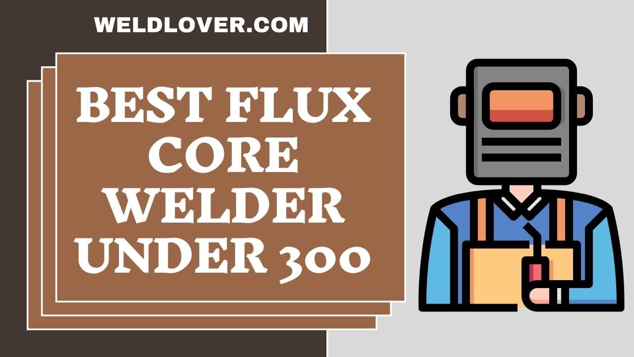 Best flux core welder under 300